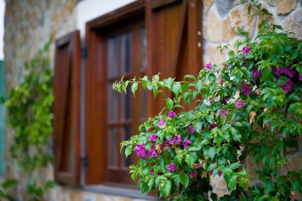 Azienda Agrituristica Vivi Natura Pompei