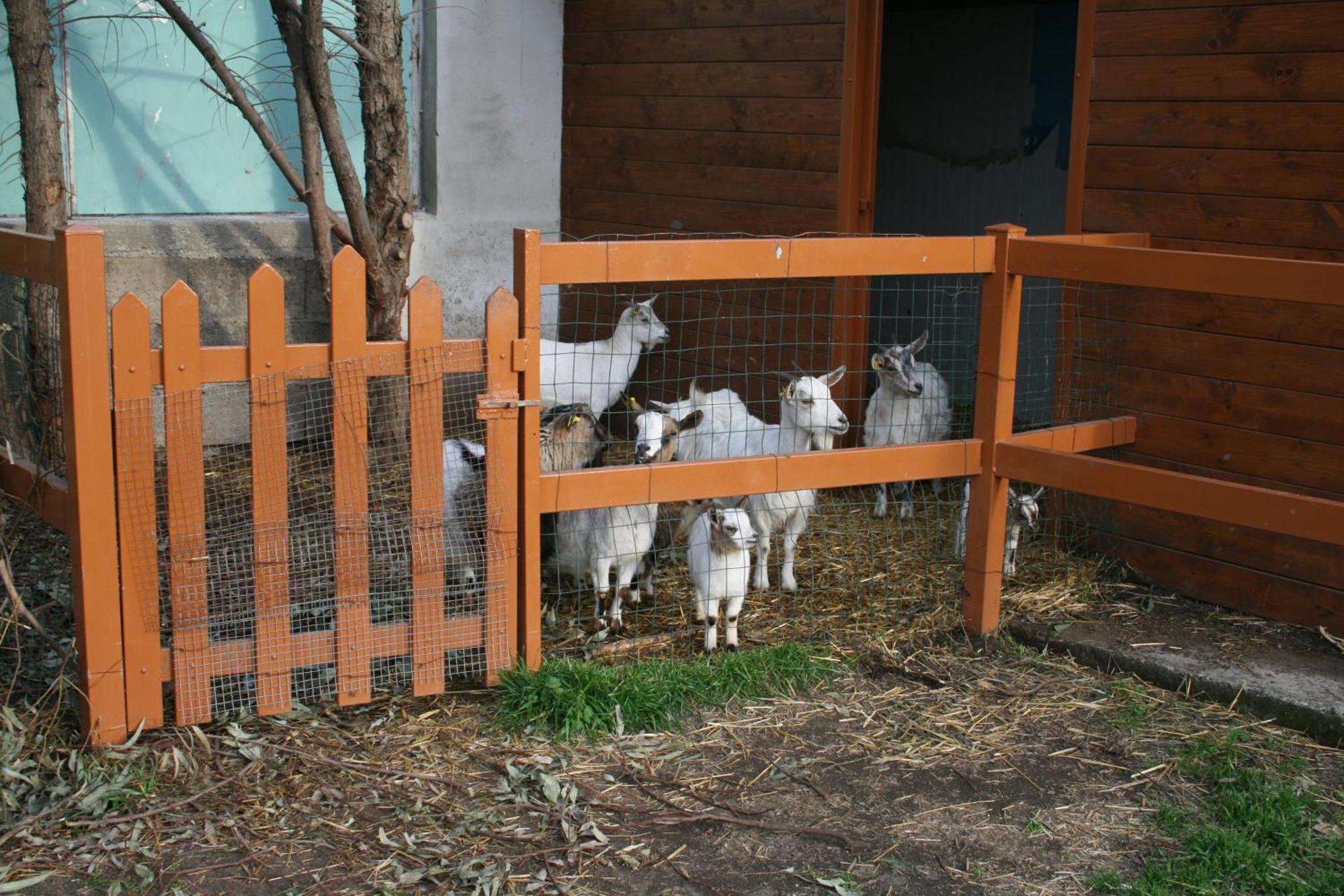 Bauernhof Azienda Agrituristica Vivi Natura