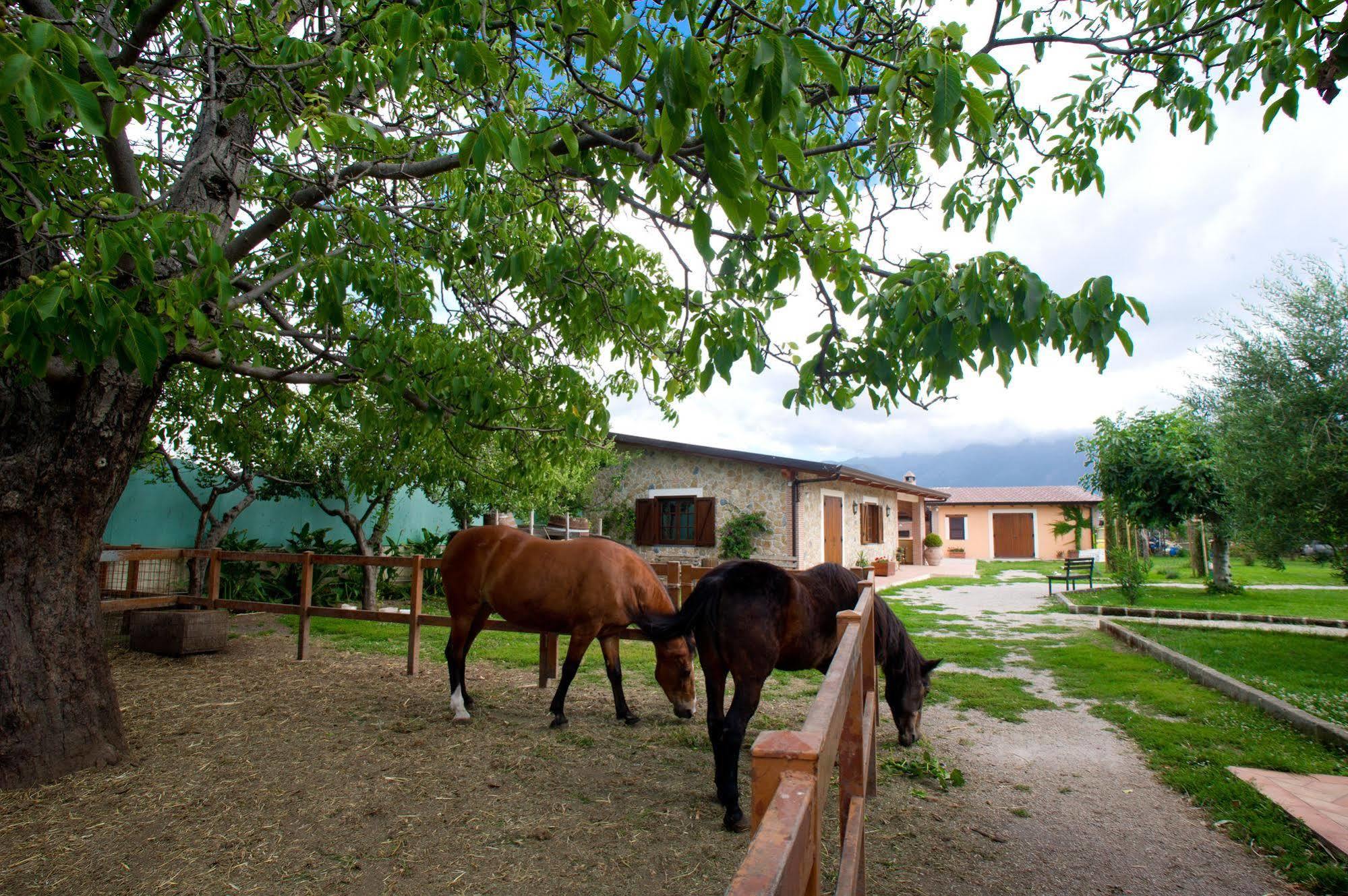 Azienda Agrituristica Vivi Natura Bauernhof *