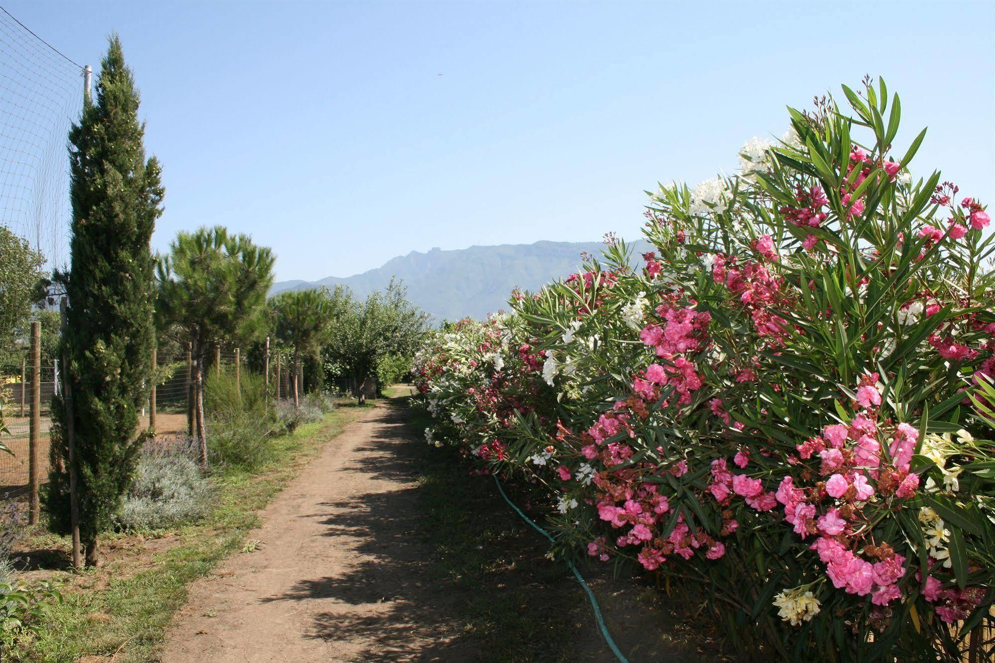 Bauernhof Azienda Agrituristica Vivi Natura *