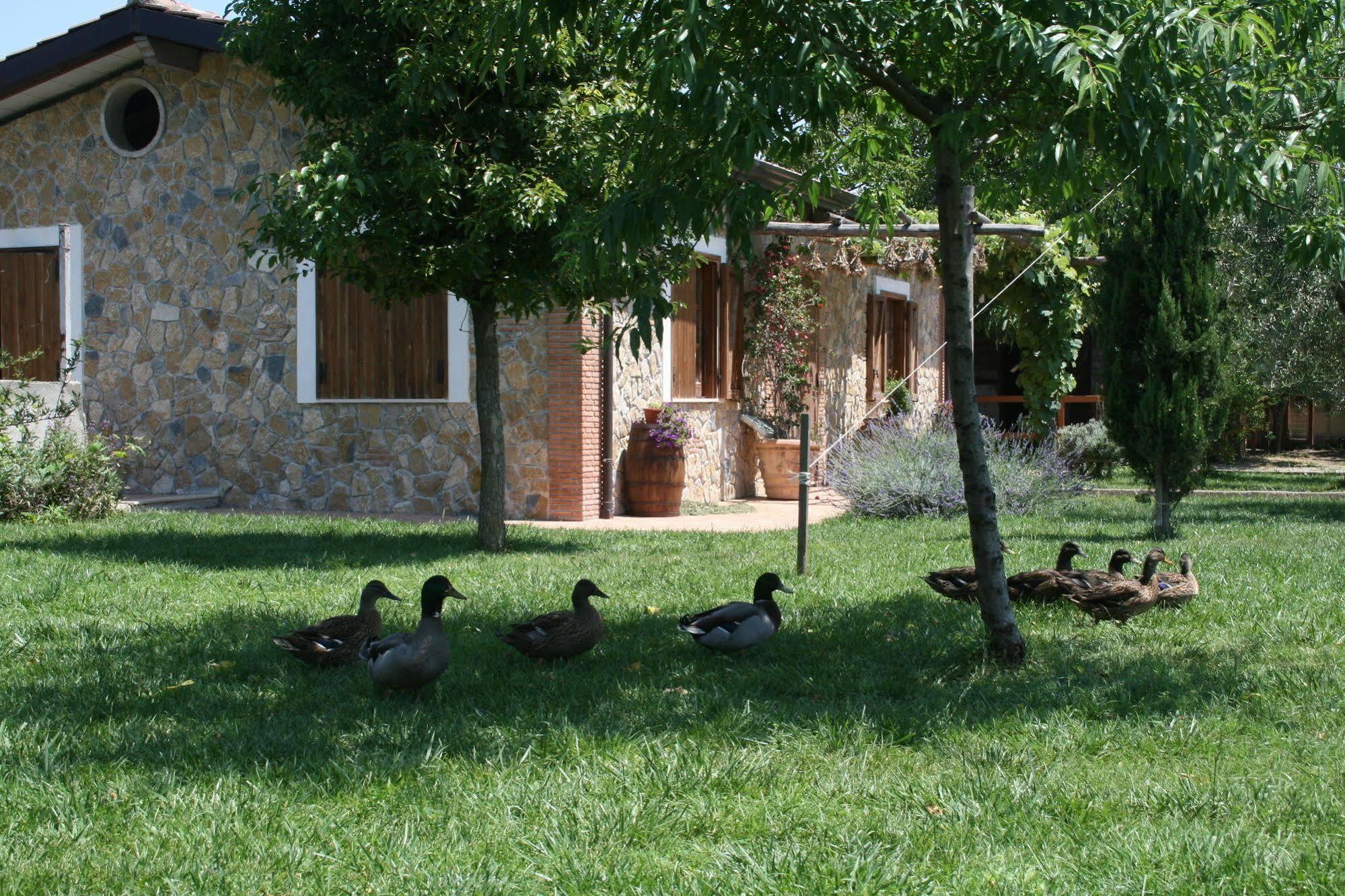 Azienda Agrituristica Vivi Natura Bauernhof *